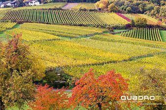 Wie gemalt ist die Landschaft bei uns