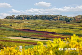 Wie gemalt ist die Landschaft bei uns