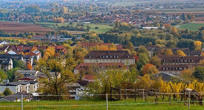 Blick über Bad Bergzabern
