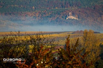 Die Burg Landeck in Klingenmünster