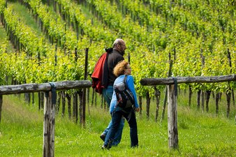 Genießertag auf unserem Weingut