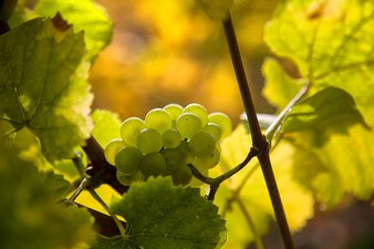 Bald ist es es soweit...