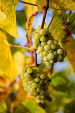 Bald ist es es soweit...